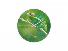 Часы настенные Nicole Time NT503 в Чернышевском - chernyshevskij.mebel-nsk.ru | фото